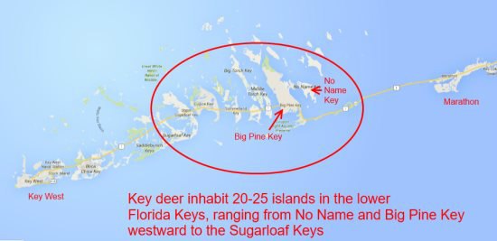 Map of Lower Florida Keys where Key Deer are found