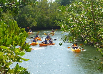 Kayaking at Oleta River State Park