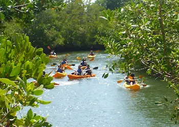 Kayaking at Oleta River State Park