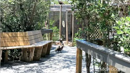 Walk and Bird Cages at the Sanctuary