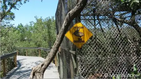 Pelican Crossing Sign at the Sanctuary
