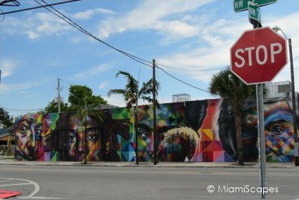 Wynwood Art District Street Art Miami