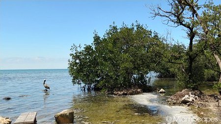 Beautiful Views from the Bay at the end of the walk